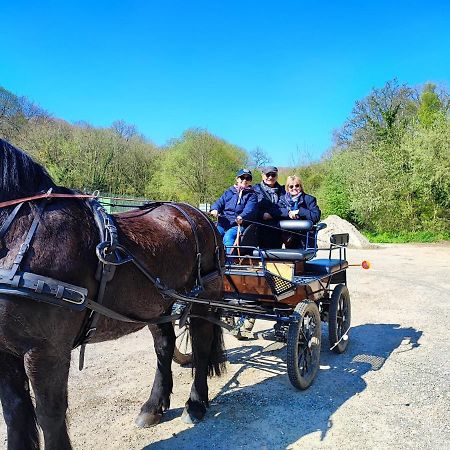 Eco-Gite La Chambre Du Vanneur Mentheville Esterno foto